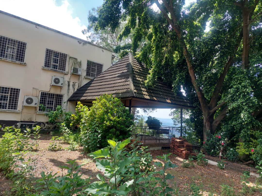 Kiyovu